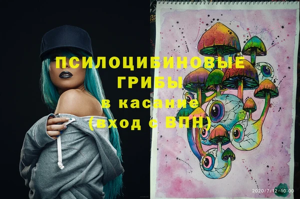 гидропоника Алексеевка