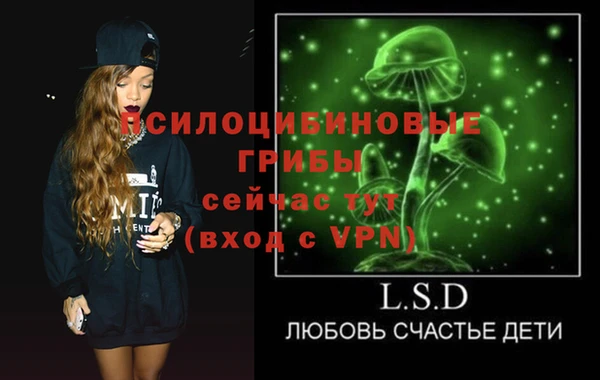 синтетический гашиш Алексин
