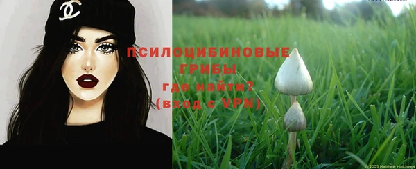 молекула духа Алзамай