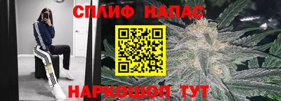 Альфа ПВП Ипатово
