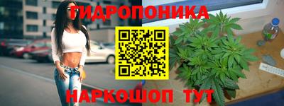 Альфа ПВП Ипатово